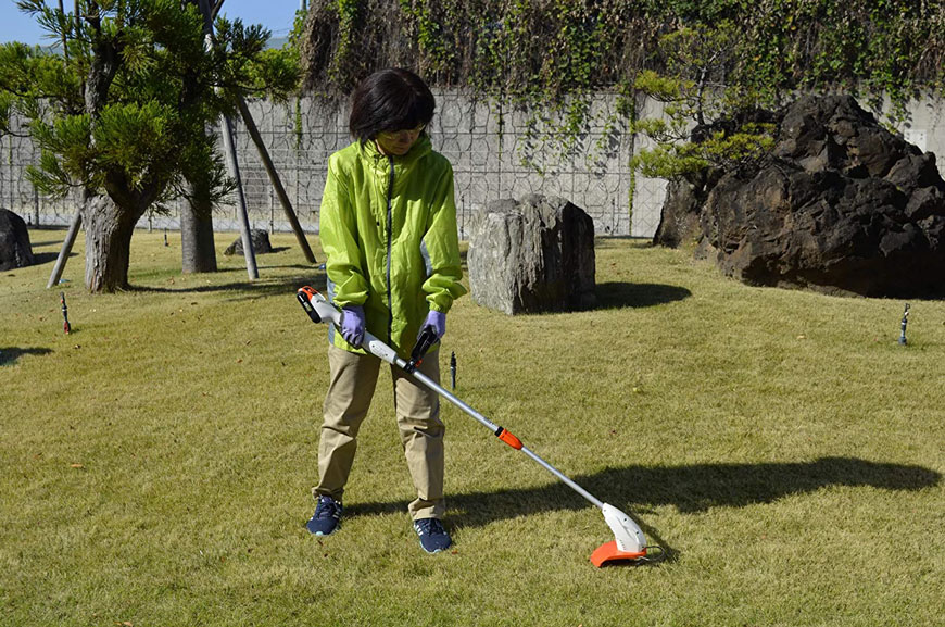 best lawn mower in Bangladesh at the lowest price